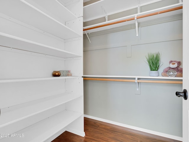 spacious closet featuring dark hardwood / wood-style floors