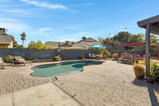 view of pool featuring a patio area