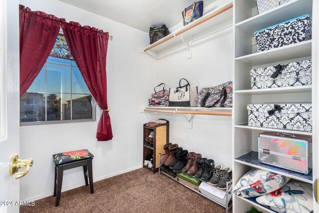 spacious closet featuring carpet floors