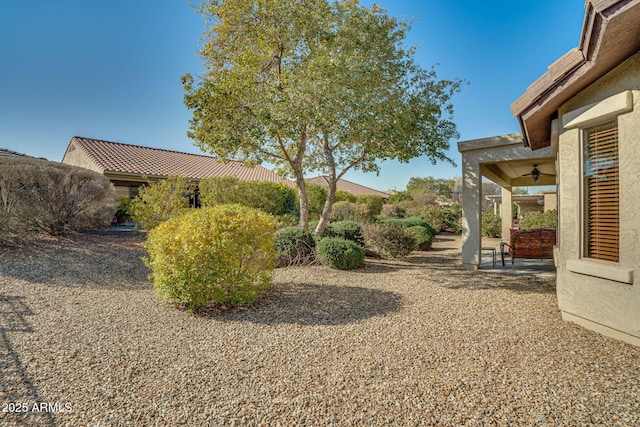 view of yard featuring ceiling fan