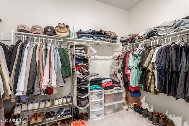 walk in closet featuring carpet flooring