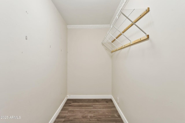 walk in closet with wood finished floors
