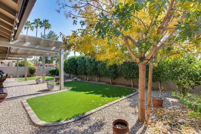 view of yard with a patio