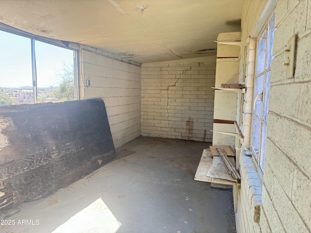 basement featuring concrete block wall