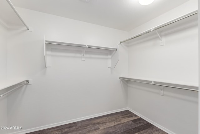 spacious closet featuring dark wood-type flooring