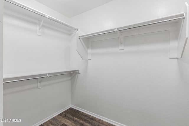 spacious closet featuring dark hardwood / wood-style flooring