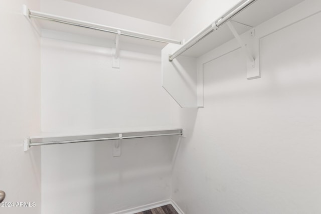 walk in closet featuring wood-type flooring