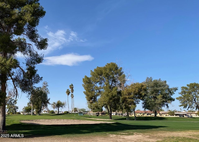 view of property's community with a lawn