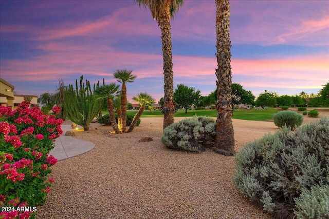 view of yard at dusk