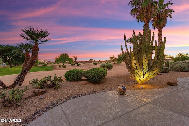 view of yard at dusk