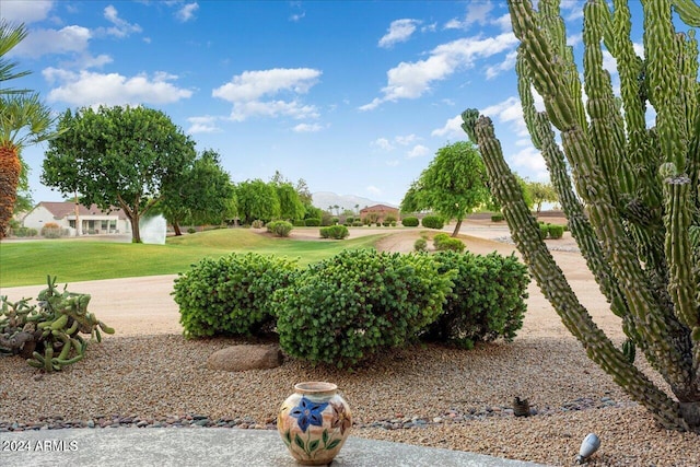 surrounding community with a mountain view and a lawn