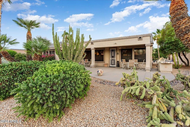 rear view of property featuring a patio and area for grilling