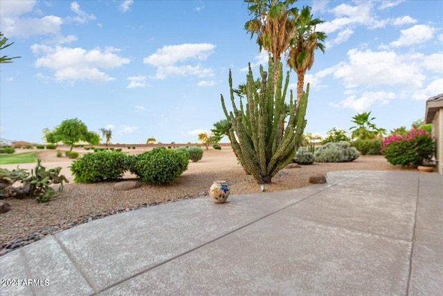 view of yard featuring a patio area