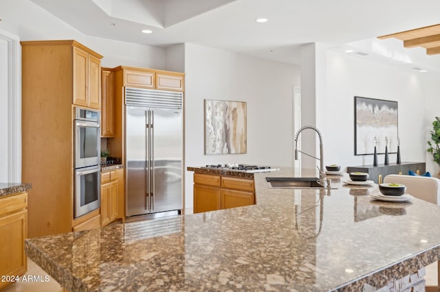 kitchen featuring stone counters, stainless steel appliances, a large island, and sink