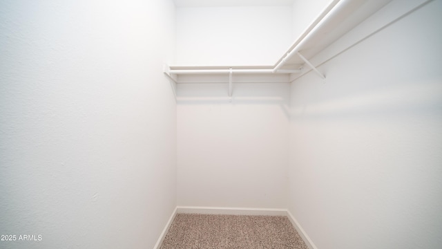 walk in closet with carpet flooring