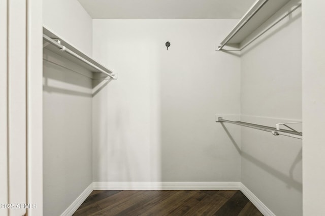 walk in closet with dark hardwood / wood-style floors