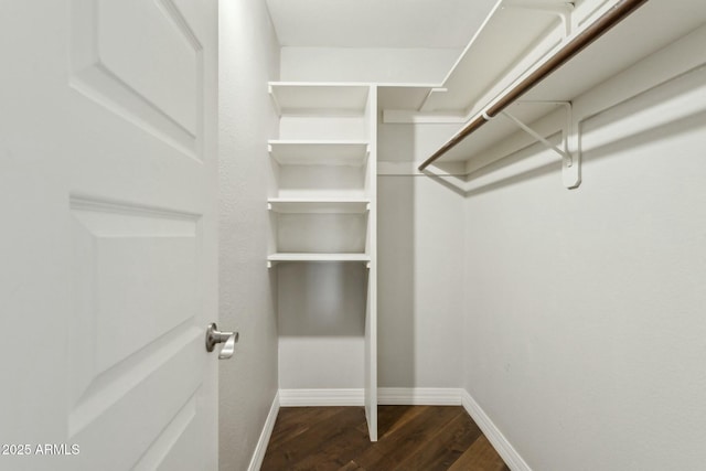 walk in closet with dark hardwood / wood-style flooring