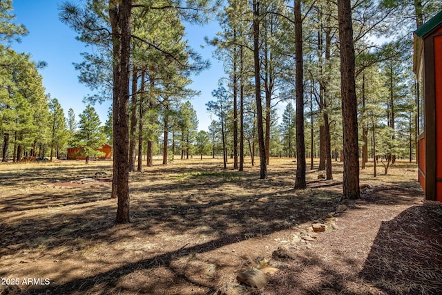 11 N County Road N1030 St, Greer, AZ 85927 - view of yard