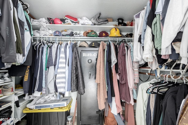 view of spacious closet