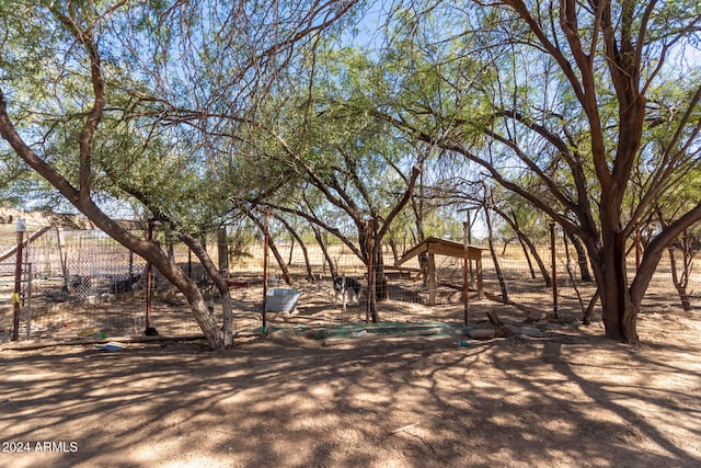 view of yard with a rural view