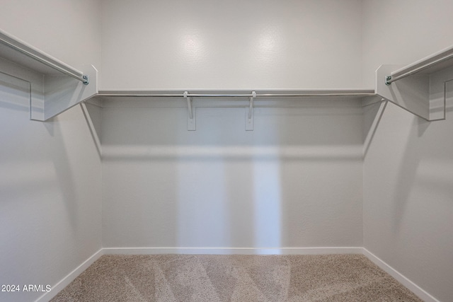 spacious closet with carpet floors