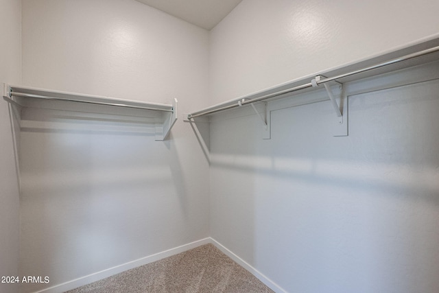 walk in closet featuring carpet floors