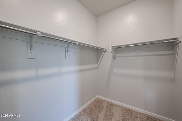 spacious closet with carpet flooring