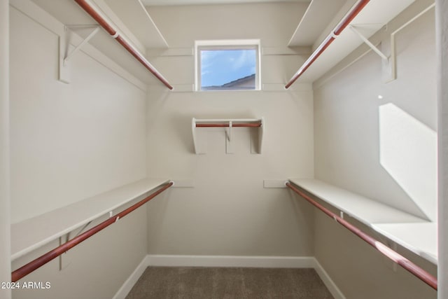 spacious closet featuring carpet flooring