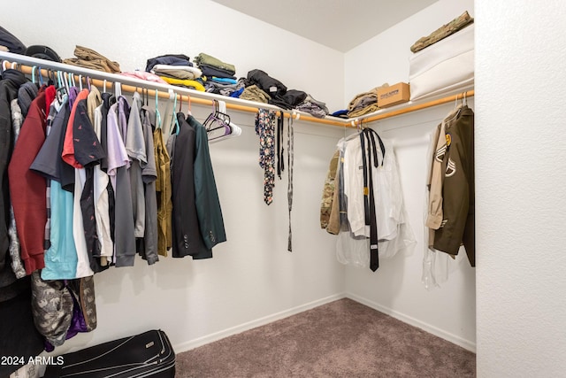 spacious closet featuring carpet