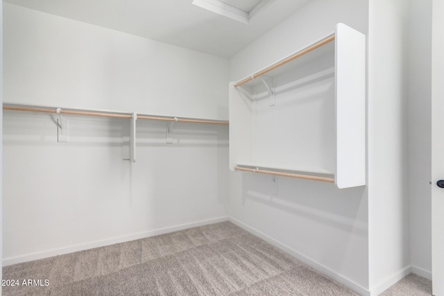 spacious closet with light carpet