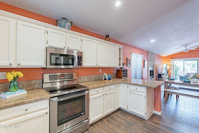 kitchen featuring open floor plan, a peninsula, appliances with stainless steel finishes, and dark wood finished floors