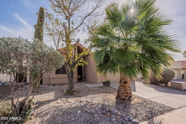 view of front of home with driveway and stucco siding