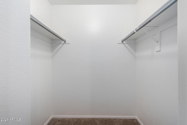8143 E Obispo Ave, Mesa, AZ 85212 - spacious closet featuring carpet