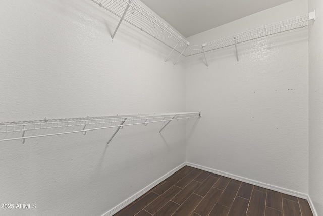 2633 E Garnet Ave, Mesa, AZ 85204 - walk in closet with dark wood-type flooring