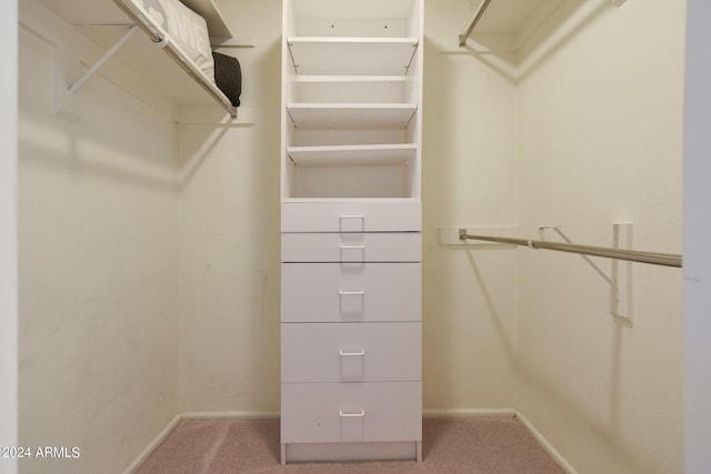 walk in closet with carpet floors