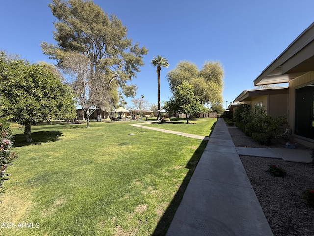 view of yard