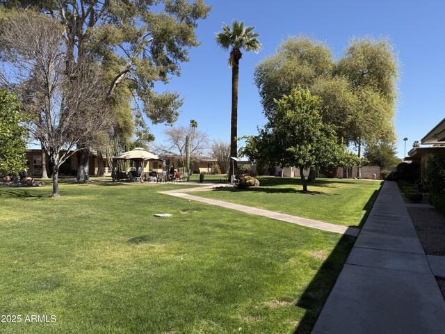 surrounding community featuring a yard