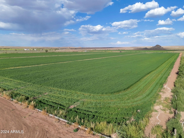 birds eye view of property with a rural view