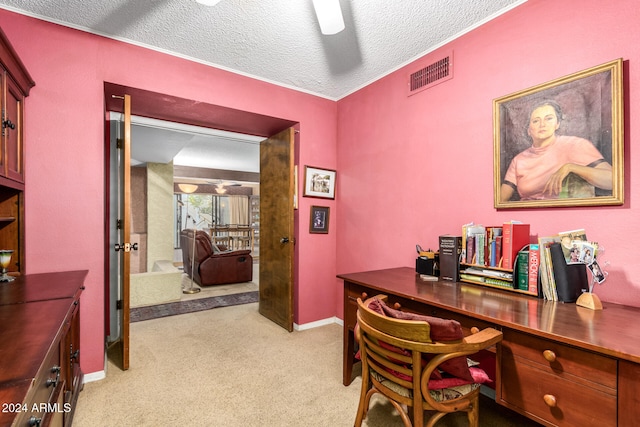 carpeted office space with a textured ceiling