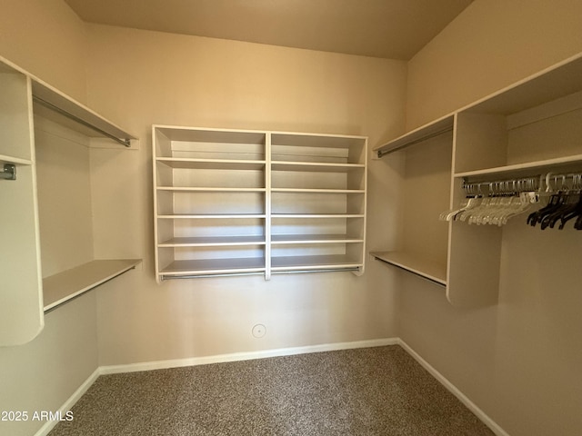 walk in closet featuring carpet