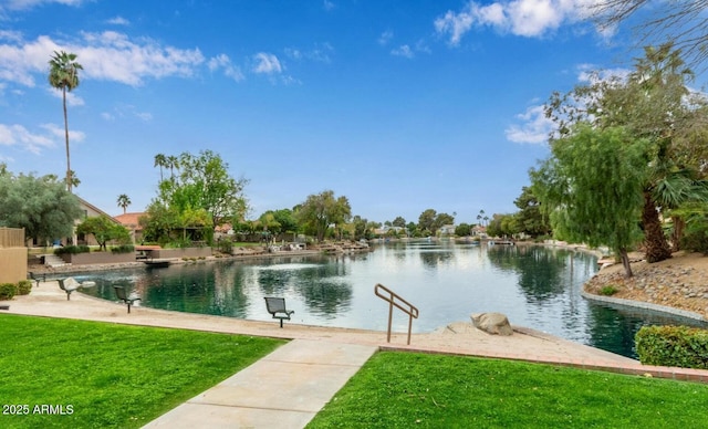 1405 E Chicago Cir, Chandler, AZ 85225 - water view