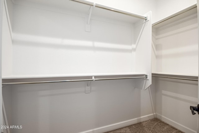 walk in closet with carpet flooring