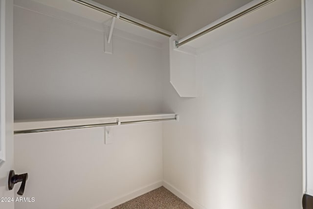 spacious closet featuring carpet flooring