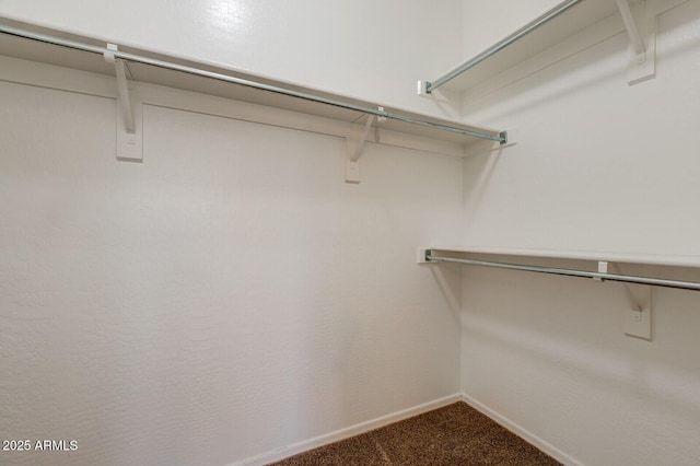 spacious closet with carpet