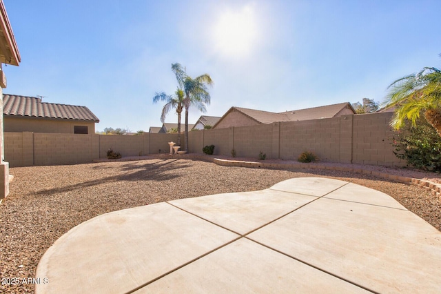 view of yard with a patio area