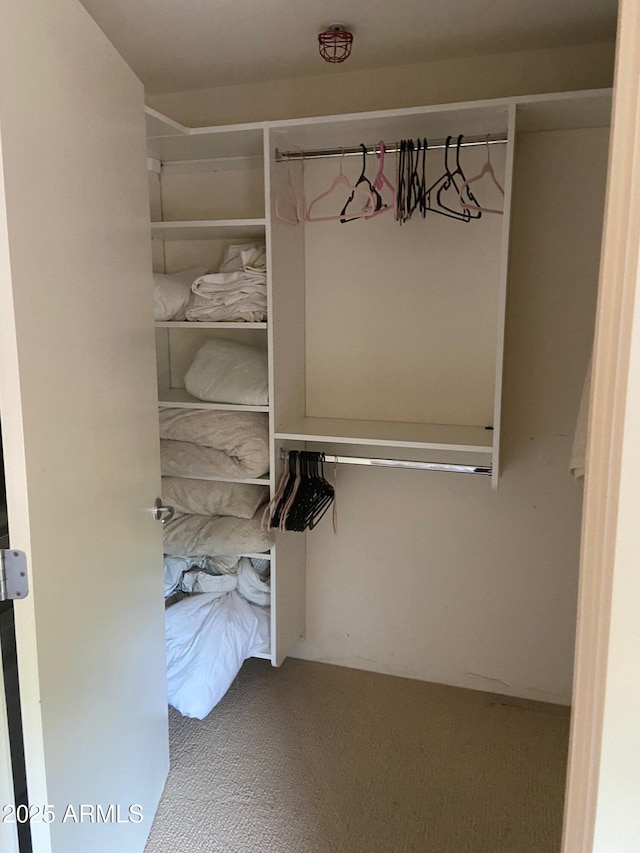 view of closet