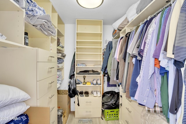 spacious closet with wood finished floors