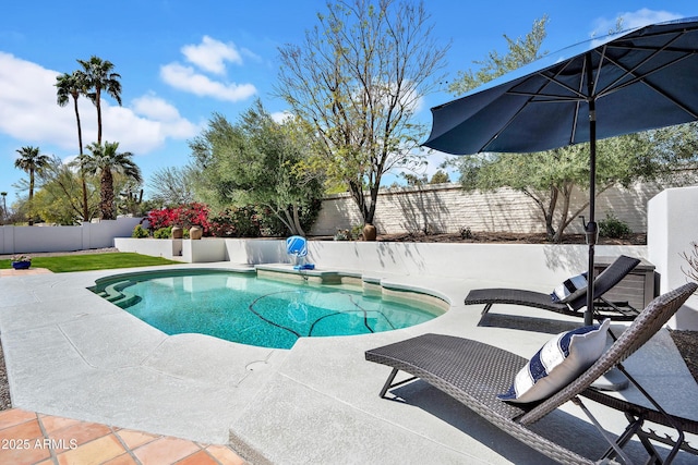 view of pool featuring a patio area and a fenced backyard