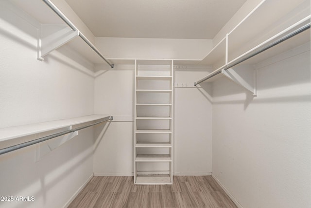 7839 E Milagro Ave, Mesa, AZ 85209 - walk in closet with light wood-style flooring