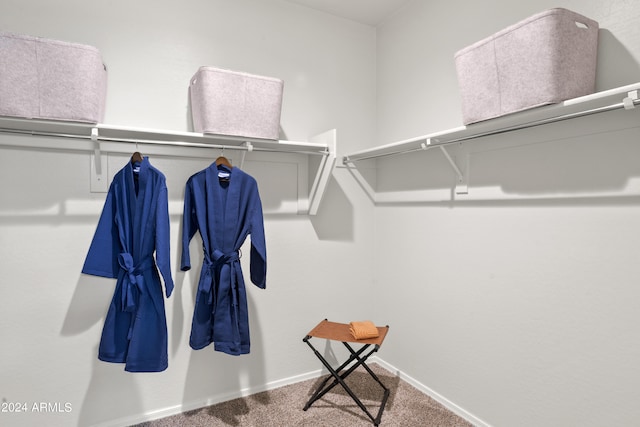 spacious closet with carpet flooring
